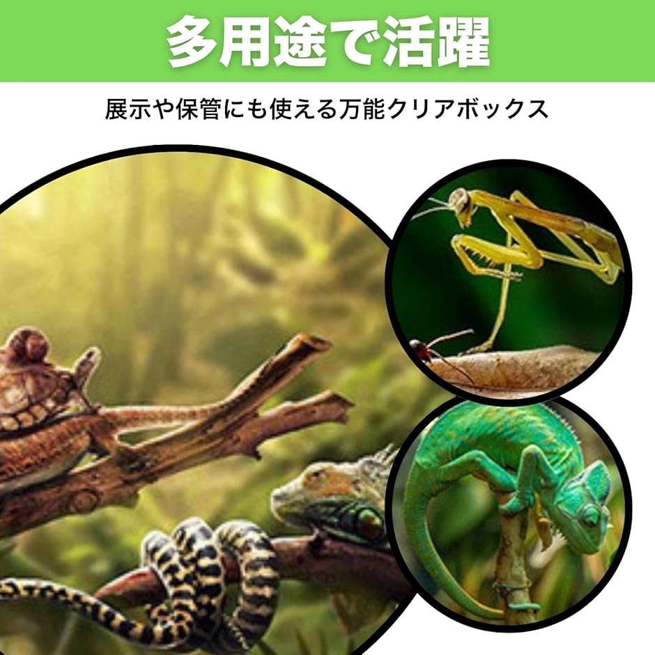 爬虫類 ケージ 透明 ボックス 虫かご 飼育 ...の詳細画像4
