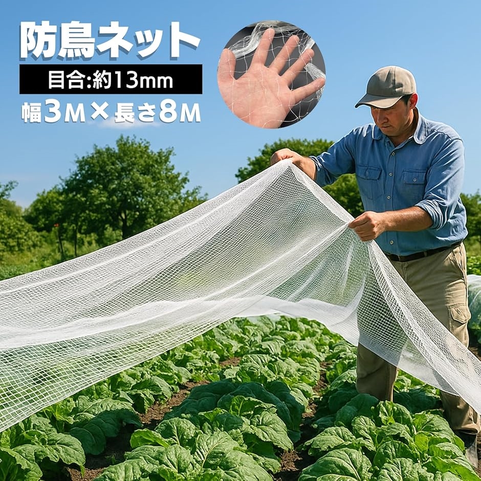 鳩よけネット 3m×6mのおすすめ人気商品一覧 通販 - Yahoo