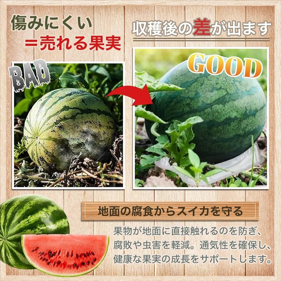 スイカトレイ スイカマット 敷き藁 台 園芸 栽培 皿 カボチャ メロン