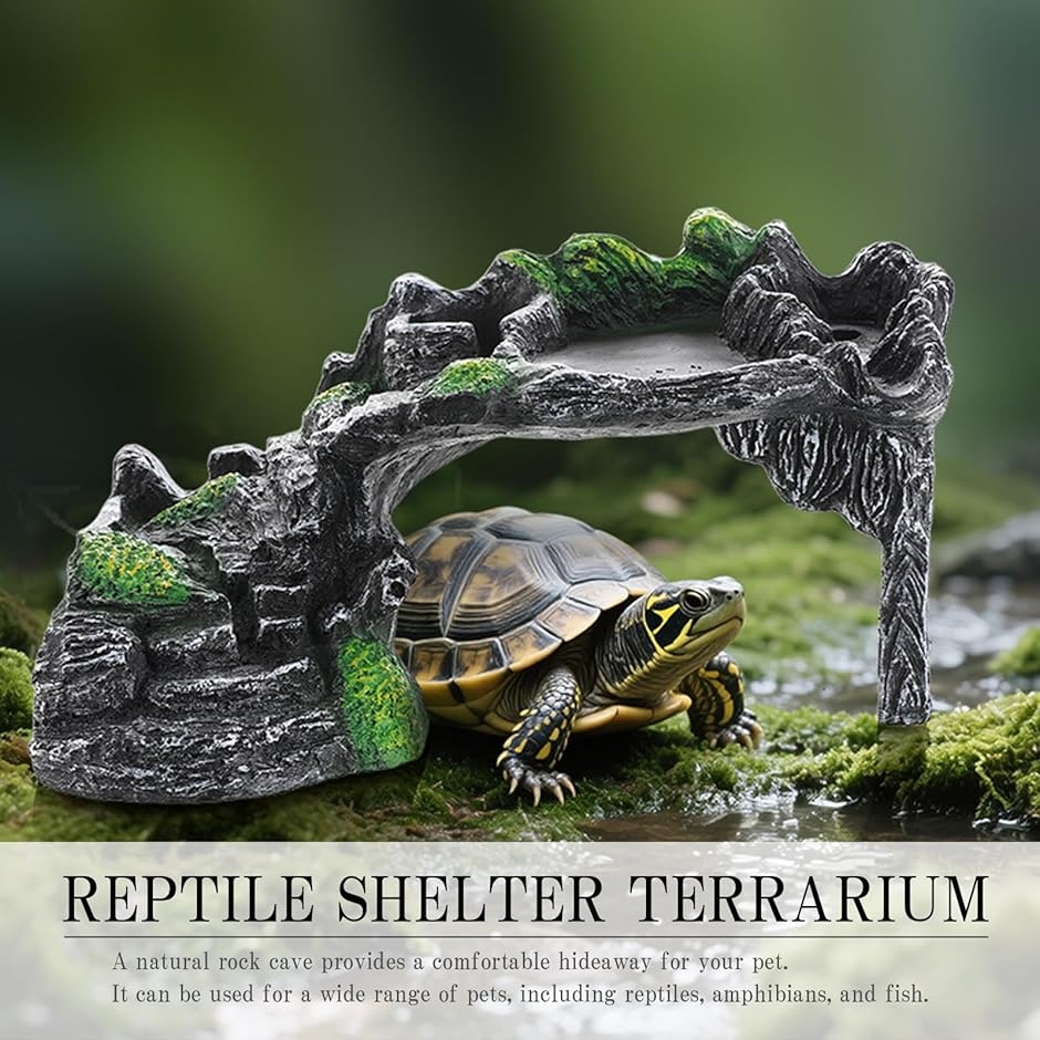 爬虫類 シェルター 隠れ家 壁 テラリウム 洞窟 階段 オブジェ カメ