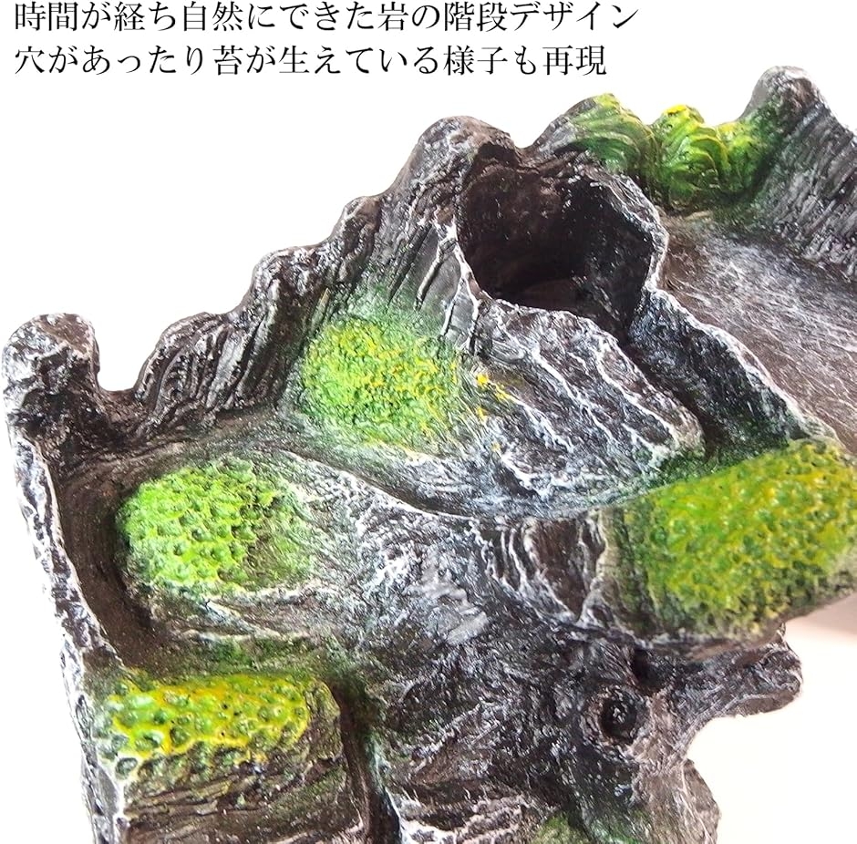 爬虫類 シェルター 隠れ家 壁 テラリウム 洞窟 階段 オブジェ カメ