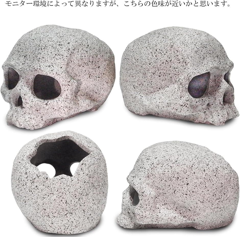 爬虫類 シェルター スカルのおすすめ人気商品一覧 通販 - Yahoo
