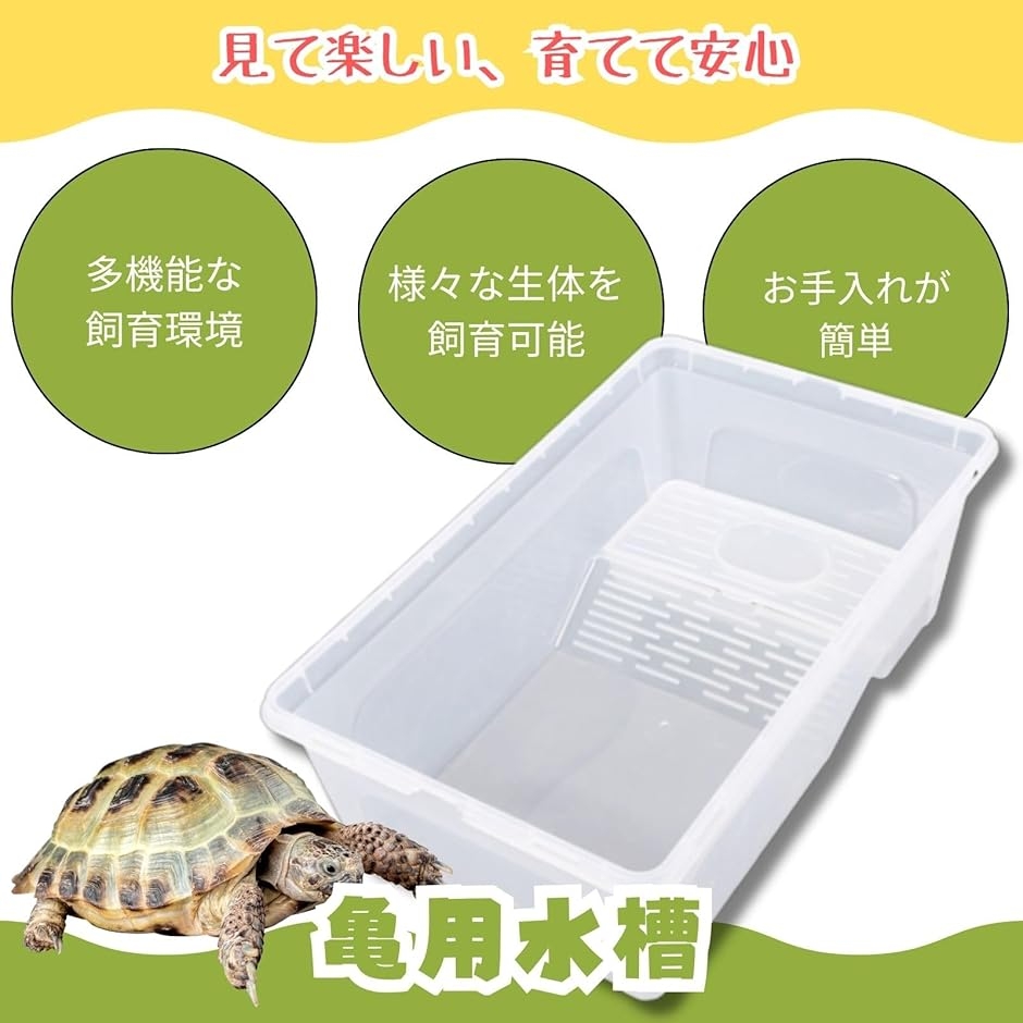 亀 水槽 カメ 飼育ケース 飼育セット ゲージ 日光浴 サワガニ ヤドカリ 