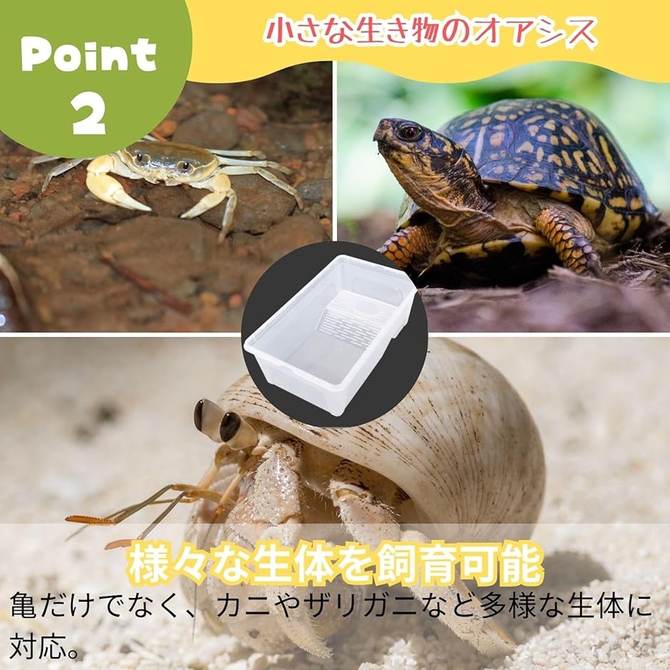 亀 水槽 カメ 飼育ケース 飼育セット ゲージ 日光浴 サワガニ ヤドカリ