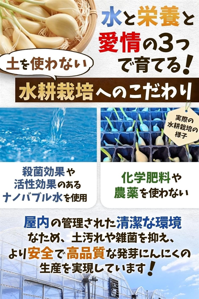 お口のニオイ残らない 奇跡のにんにく ニンニクチップ ガーリックチップ 50g 福岡県産発芽にんにく100%使用 栽培期間中農薬不使用 ...