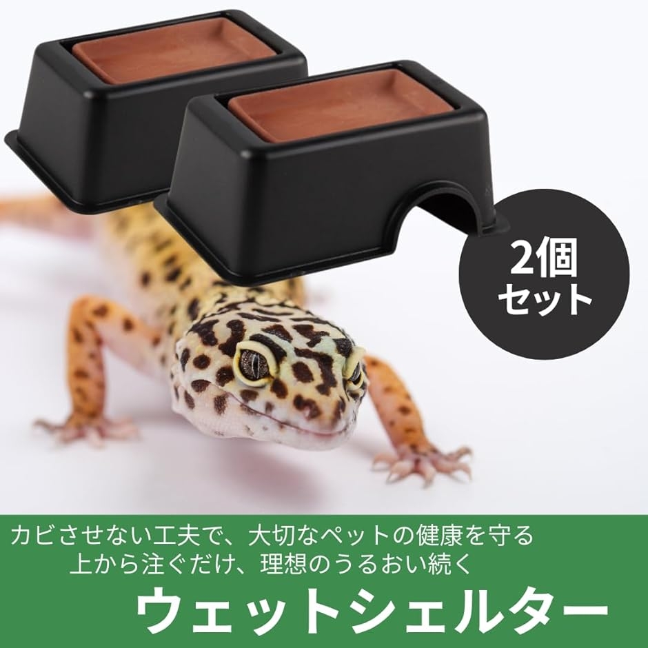 シェルター 爬虫類 隠れ家 洞窟 ウェットシェルター 飼育 保湿 陶器