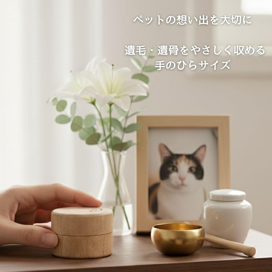 琴 爪 入れのおすすめ人気商品一覧 通販 - Yahoo!ショッピング