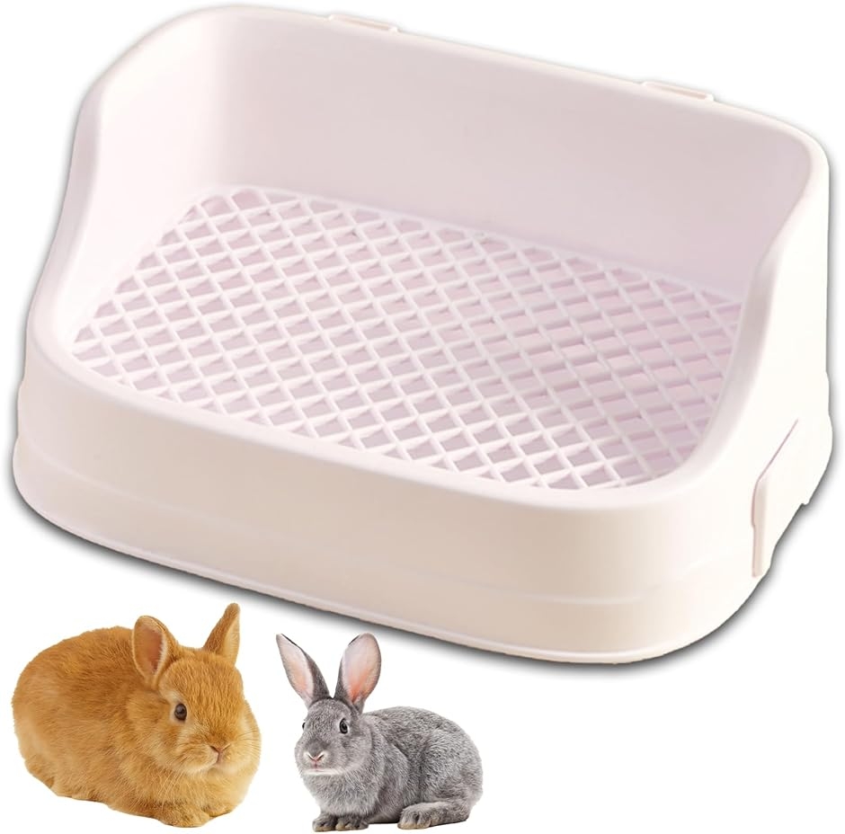 爬虫類飼育ケース ケージ 透明 蓋付き 両開き 空気穴 換気 熱の拡散