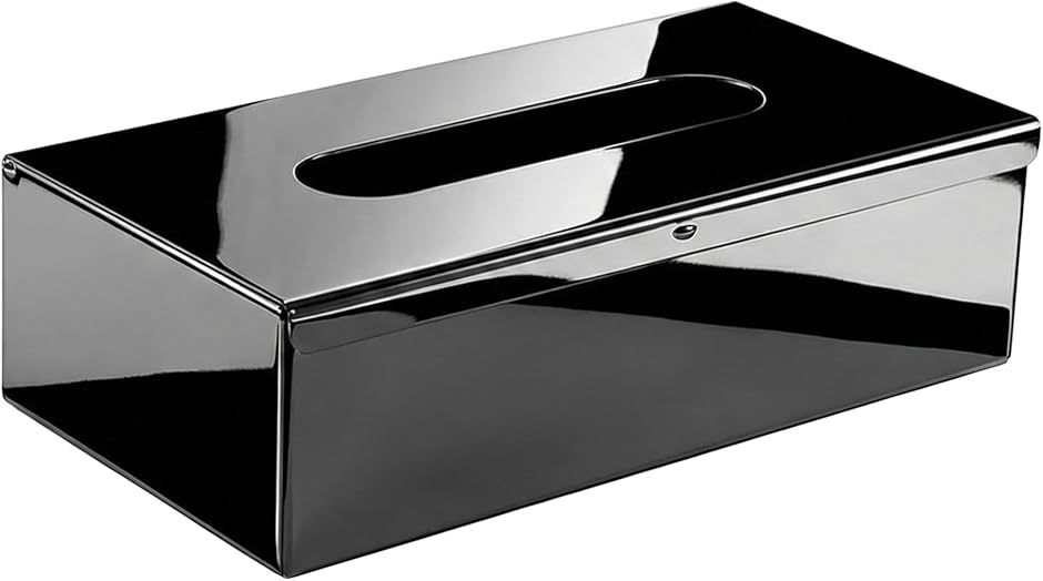 ティッシュケース ステンレス 2way 卓上 壁掛け 両用 ボックス カバー 箱ごと入る (ブラック,  25.2x13x7.3cm)