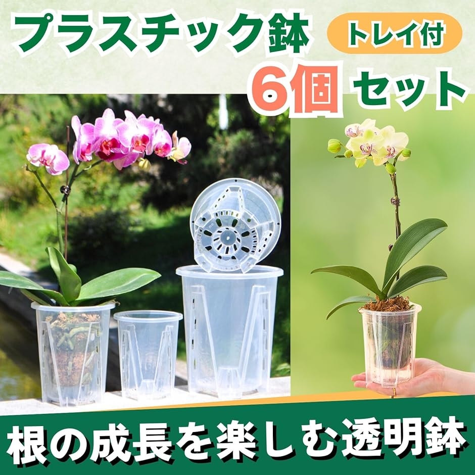 透明鉢 6個セット 植木鉢 クリア プラスチック スリット鉢 胡蝶蘭