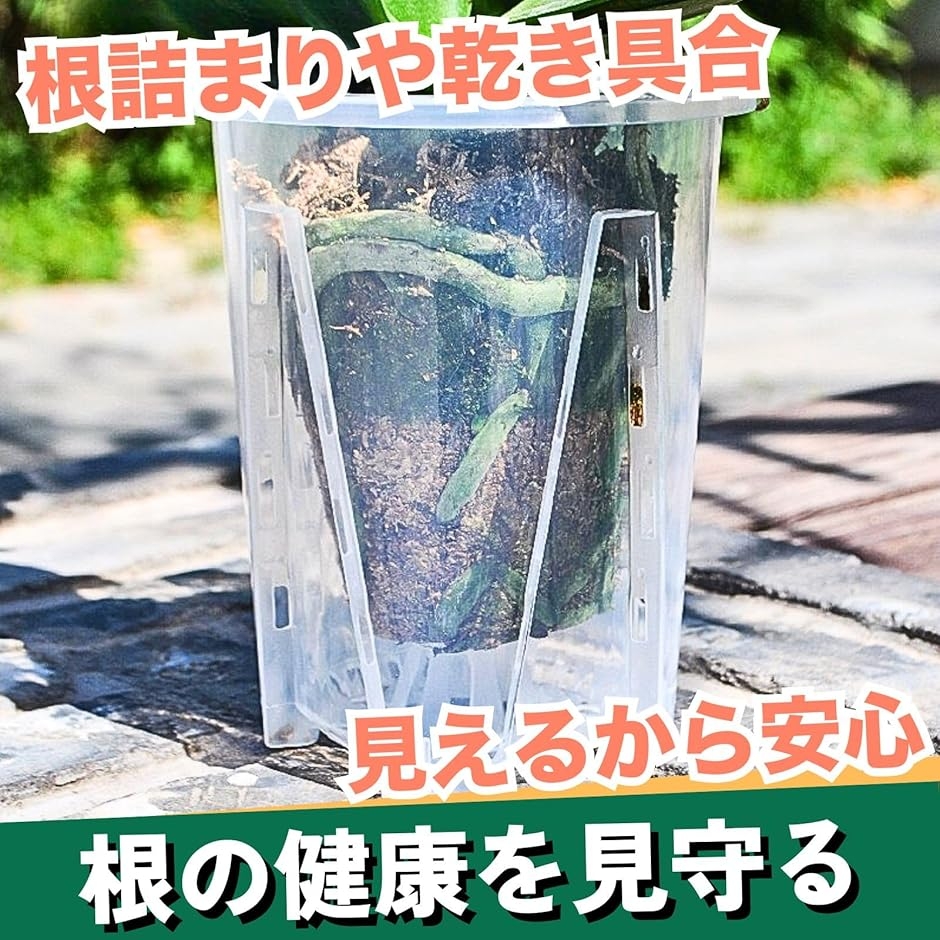 透明鉢 6個セット 植木鉢 クリア プラスチック スリット鉢 胡蝶蘭