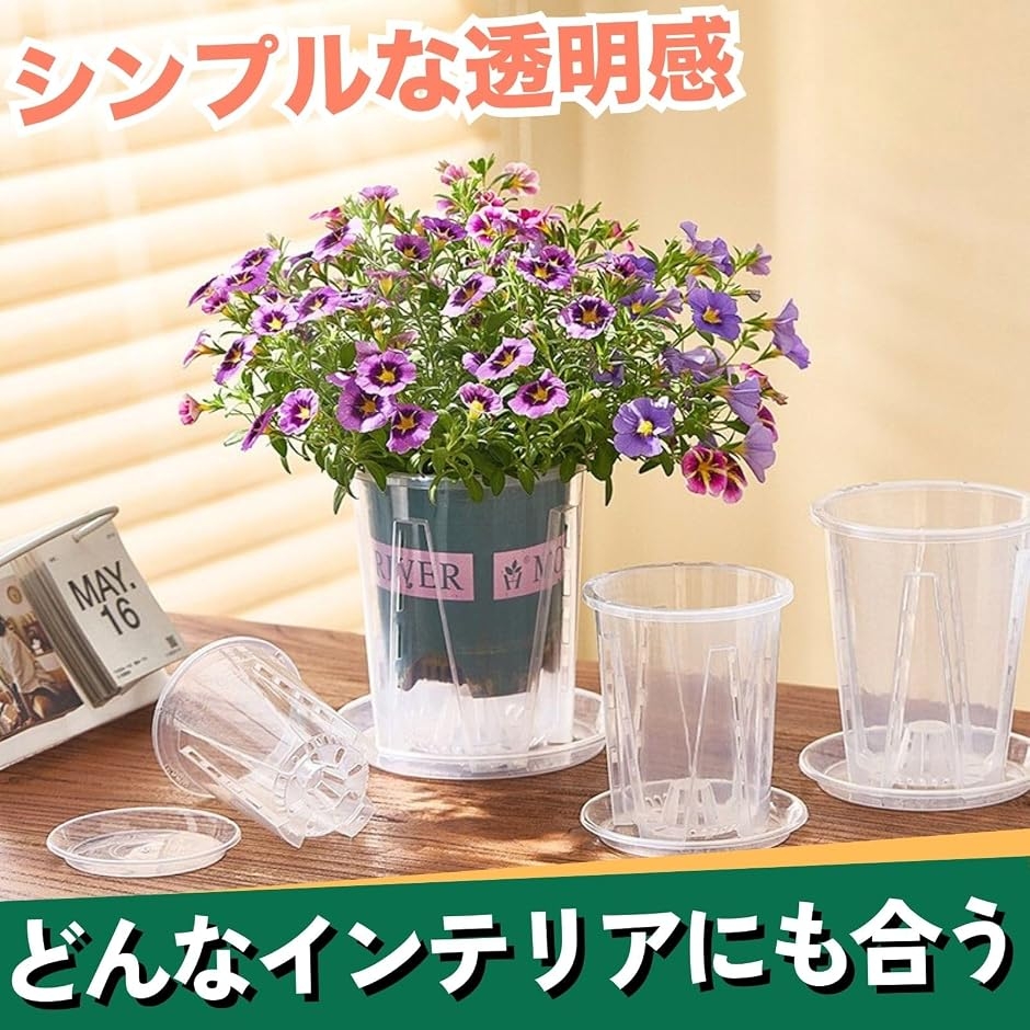 透明鉢 6個セット 植木鉢 クリア プラスチック スリット鉢 胡蝶蘭