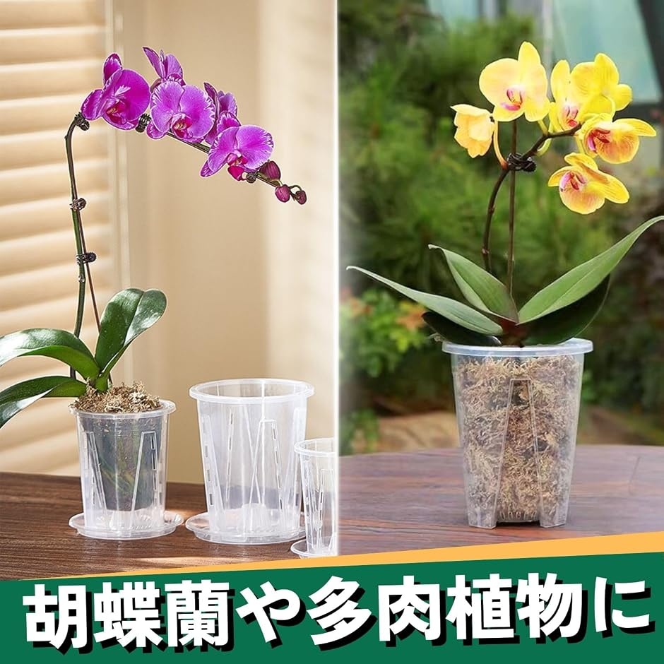 透明鉢 6個セット 植木鉢 クリア プラスチック スリット鉢 胡蝶蘭