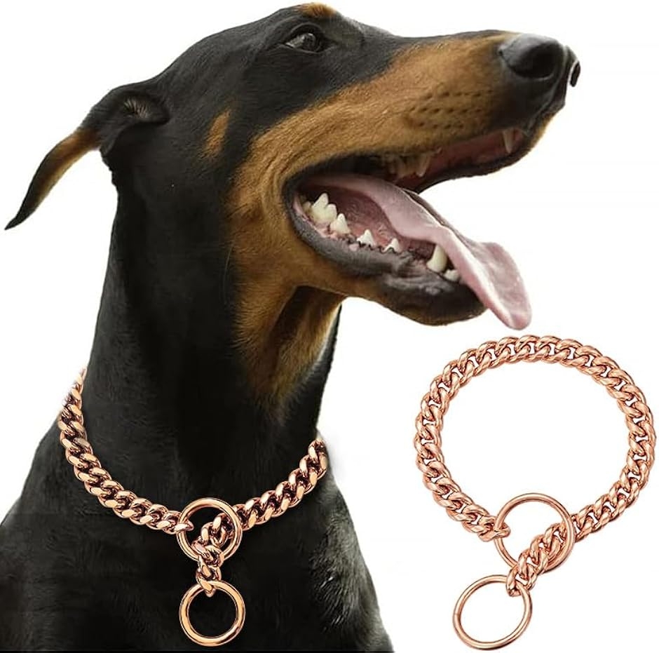 犬 ペット チェーン 首輪 チョーク 式 ステンレス カラートレーニング