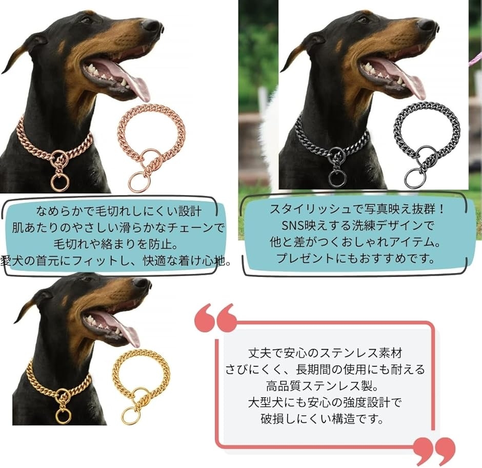 犬 ペット チェーン 首輪 チョーク 式 ステンレス カラートレーニング