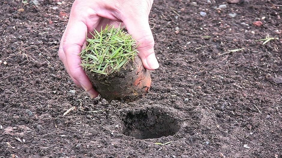 プロプラガー 芝生 穴あけ器 移植 ガーデニング 植栽 体への負担軽減