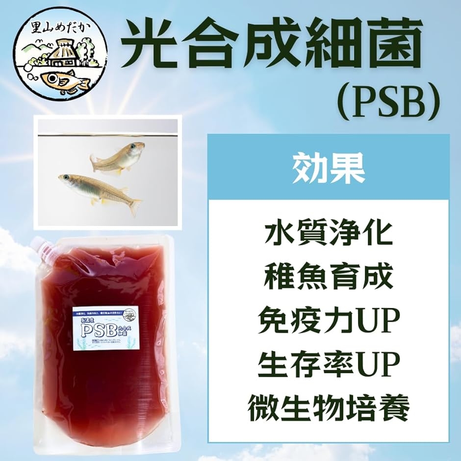 PSB 光合成細菌 高濃度培養 バクテリア 水...の詳細画像2