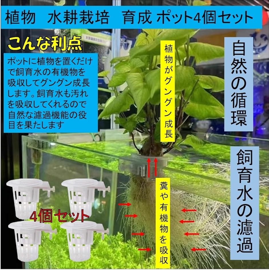 水耕栽培 水槽 植物 ホルダー カップ 4個セット 壁掛け 吊り下げ