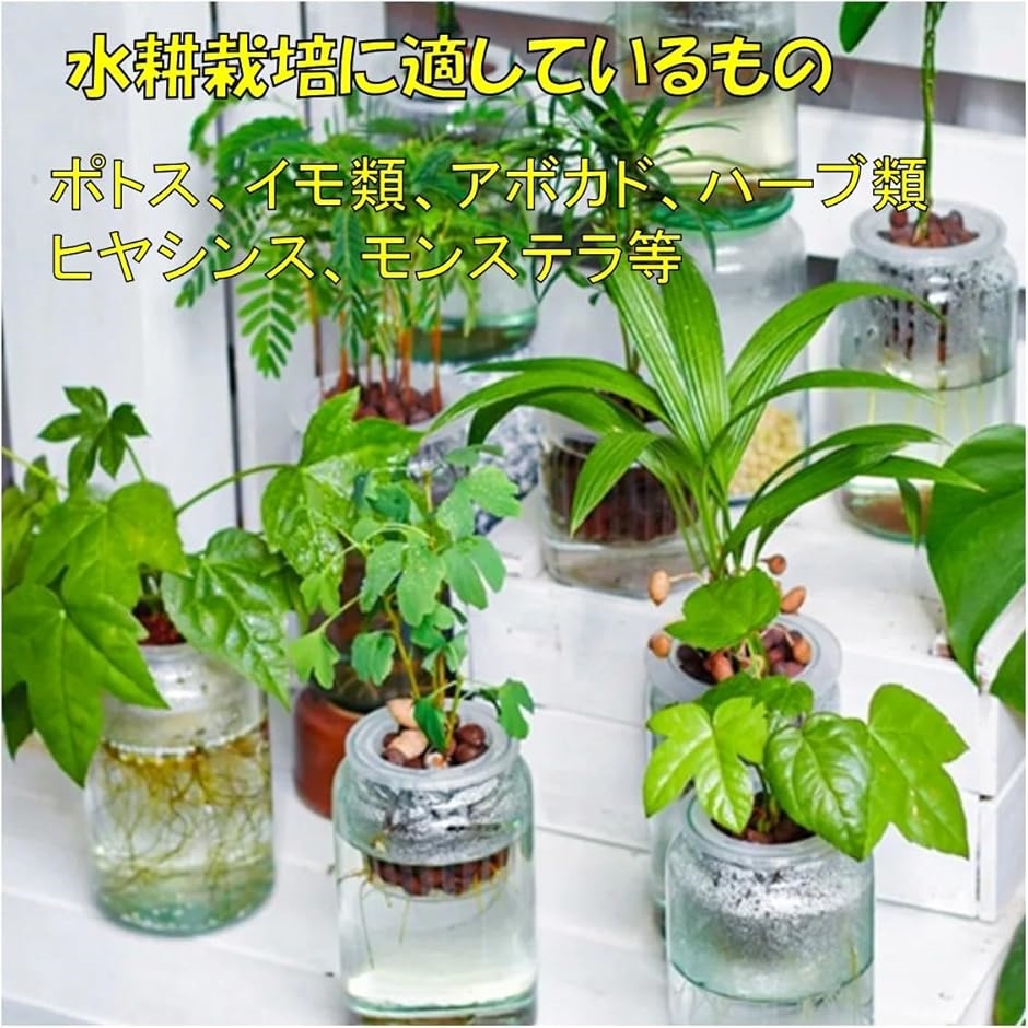 水耕栽培 水槽 植物 ホルダー カップ 4個セット 壁掛け 吊り下げ