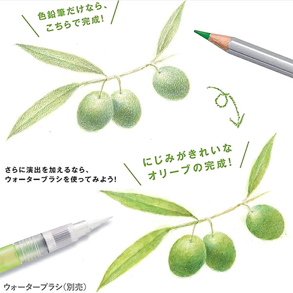 ステッドラー STAEDTLER カラト アクェレル水彩色鉛筆 24色