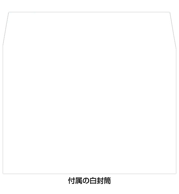 多目的カード シースルーカード アイスキャンデ...の詳細画像2