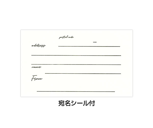 多目的カード シースルーカード アイスキャンデ...の詳細画像3