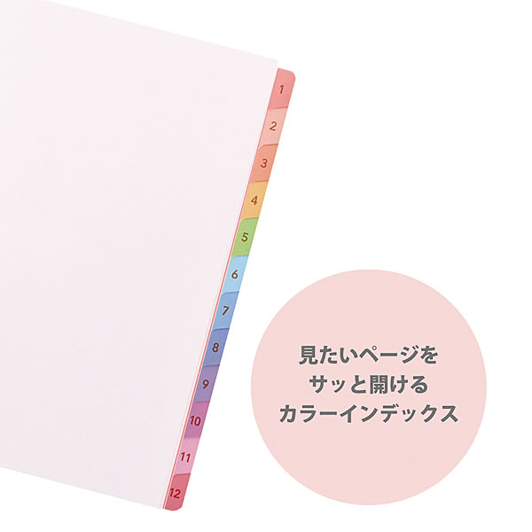 クツワ（KUTSUWA） 2027年ダイアリー 手帳 カラーインデックス手帳 A6