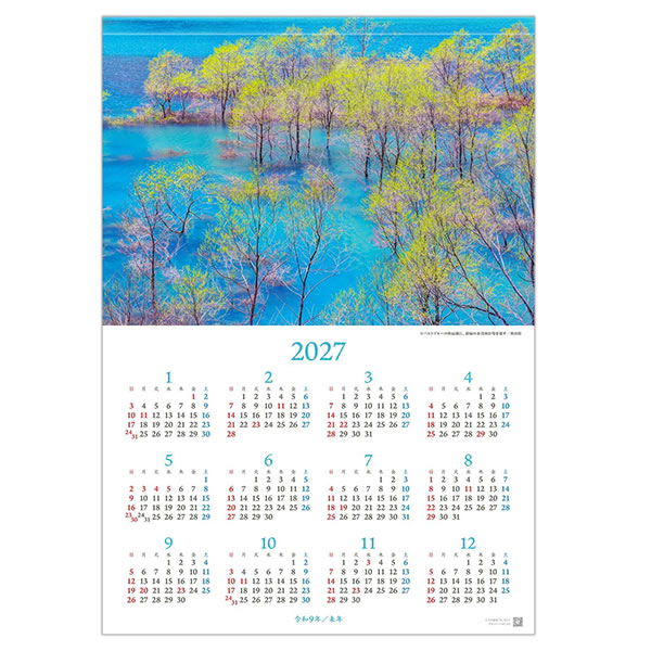 2026 カレンダー 壁掛け 写真工房 ワイド420（A3） A-20 森は生きて