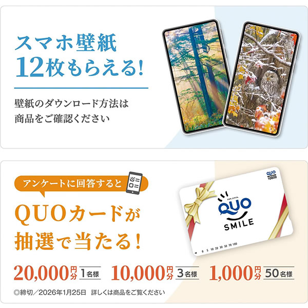 2026 カレンダー 壁掛け 写真工房 ワイド420（A3） A-20 森は生きて
