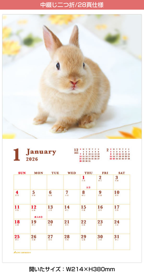 2026 カレンダー 壁掛け ACTIVE Sweet Rabbit 26ACL-36 2026年1月