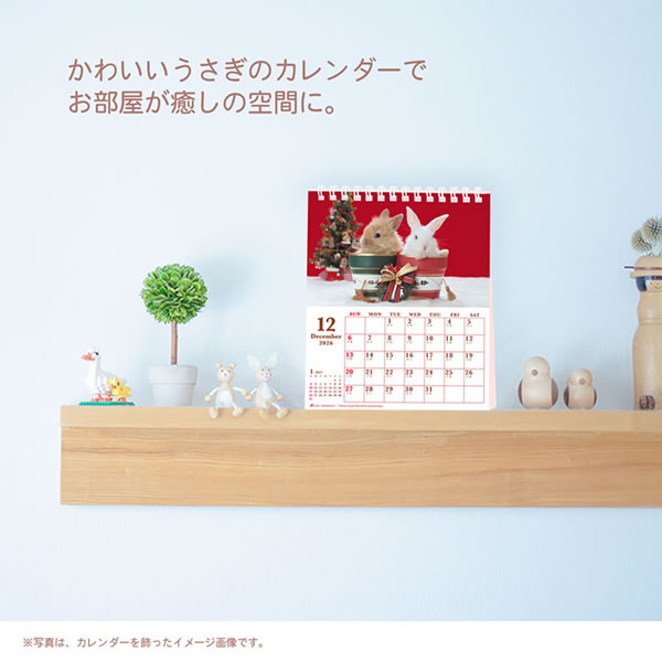 2026 カレンダー 卓上 ACTIVE Sweet Rabbit 26ACL-571 2026年1月始まり
