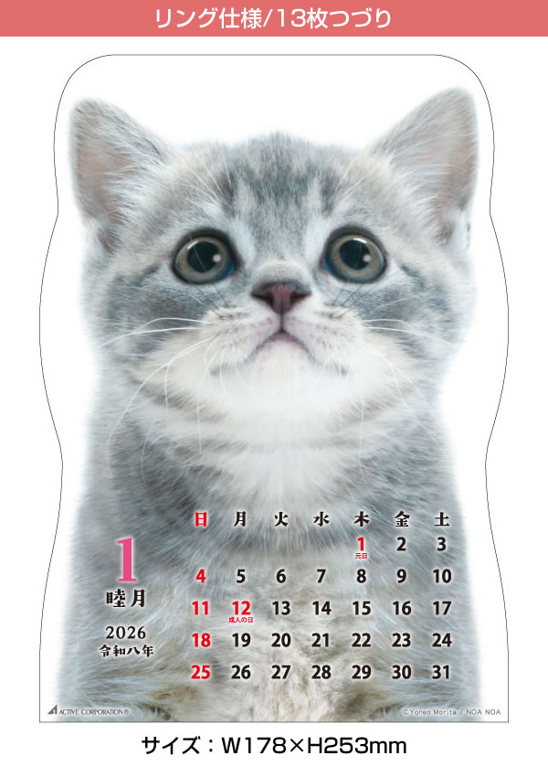 2026 カレンダー 壁掛け ACTIVE 猫です 26ACL-67 2026年1月始まり 令和