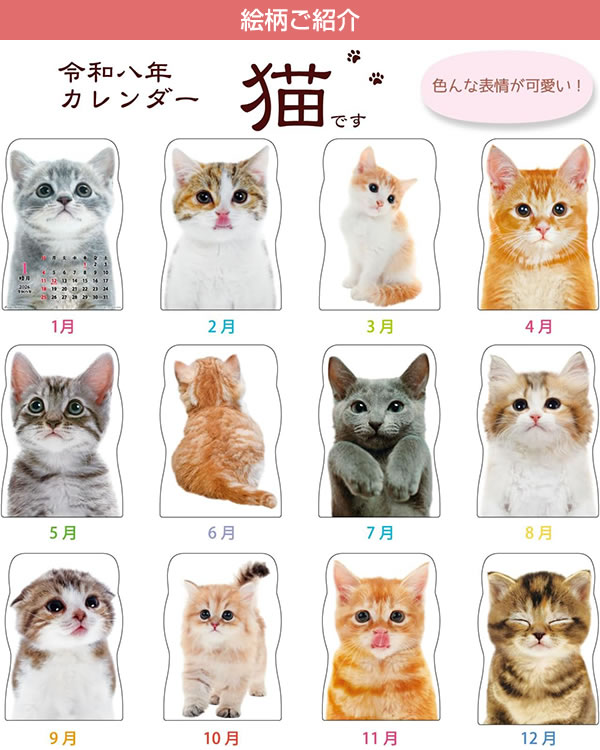 2026 カレンダー 壁掛け ACTIVE 猫です 26ACL-67 2026年1月始まり 令和