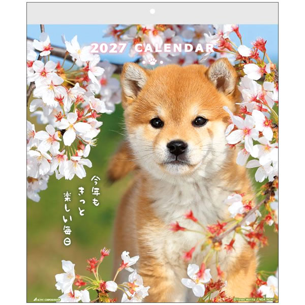 ①『犬』壁掛けチャリティーカレンダー5枚セット 2027年 カレンダー 壁掛け DOGウォールカレンダー 27ACL-01 1月始まり