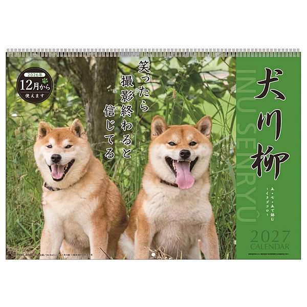 2027年 カレンダー 壁掛け 犬川柳 APJ154 アートプリントジャパン 日曜