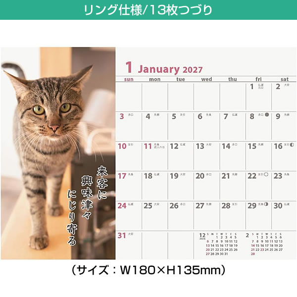 2027年 カレンダー 卓上 猫川柳 APJ1...の詳細画像1