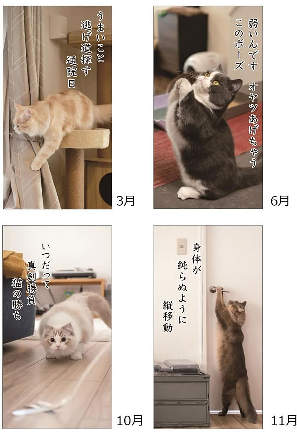 2027年 カレンダー 卓上 猫川柳 APJ1...の詳細画像2