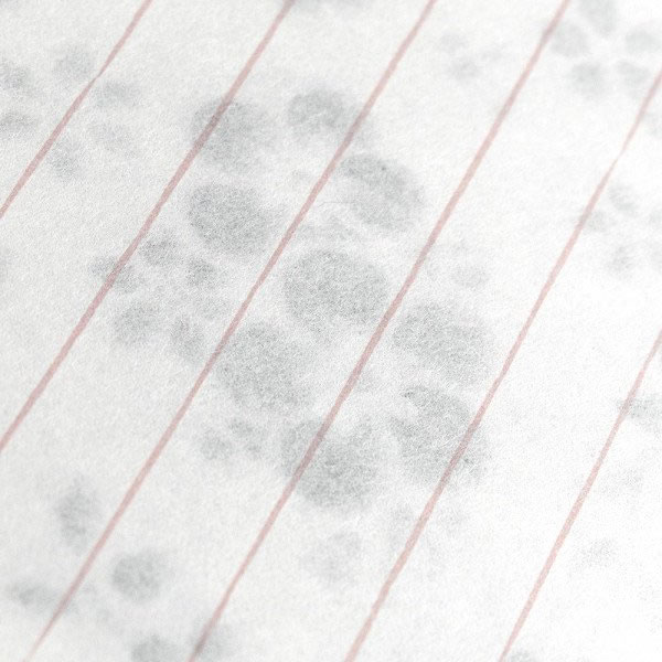 レターセット B5 ほのり 花紅 4991001/4991101 （11） 便箋14枚 封筒4