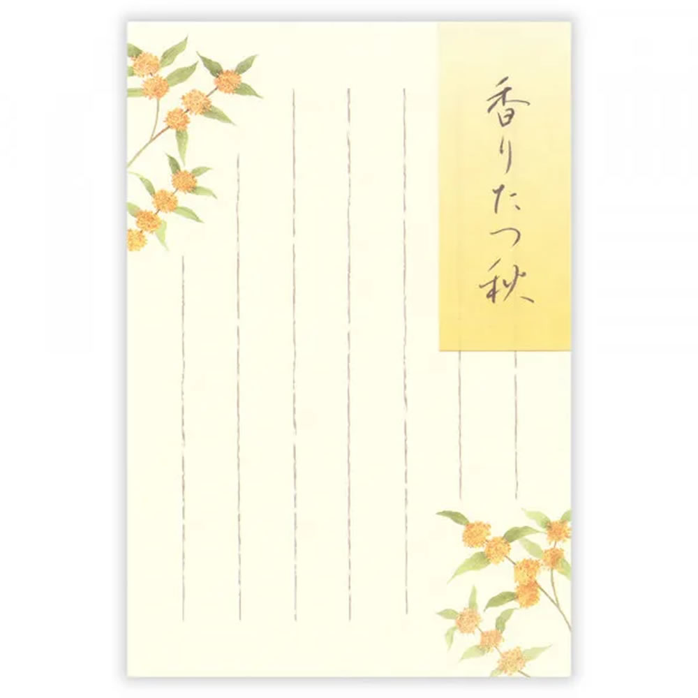 かもめーる  おたより葉書　62円はがき  200枚   2019年 ② かもめーる おたより葉書 62円はがき 200枚 2019年 ① かも