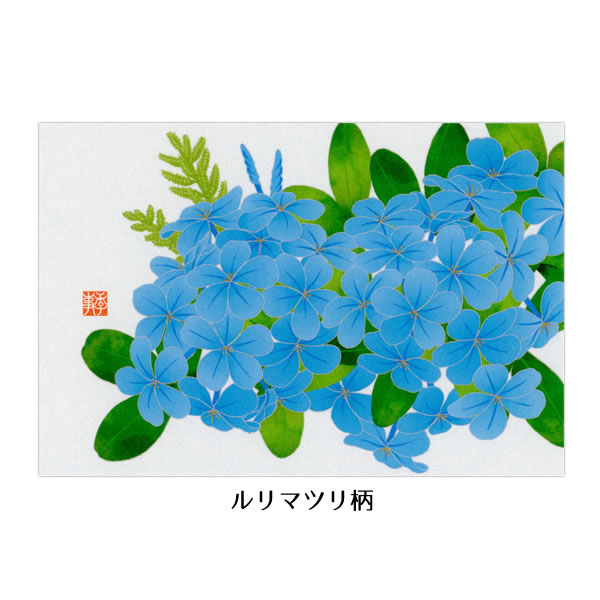 春とみどり 特典 イラストカード ポストカード 大量セット MIDORI（ミドリ） ポストカード夏柄8枚（8柄）セット （14） 朝顔