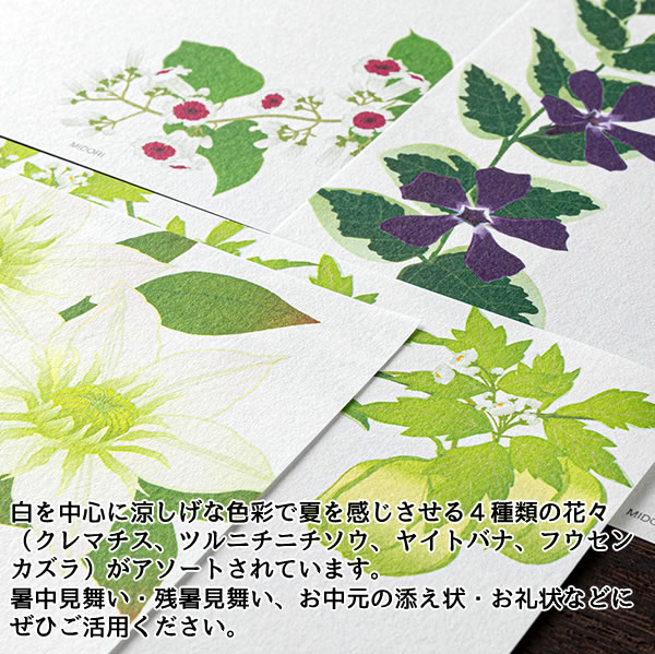 レターセット 夏柄 夏の花柄 87169/87170 （14） 便箋16枚（4柄