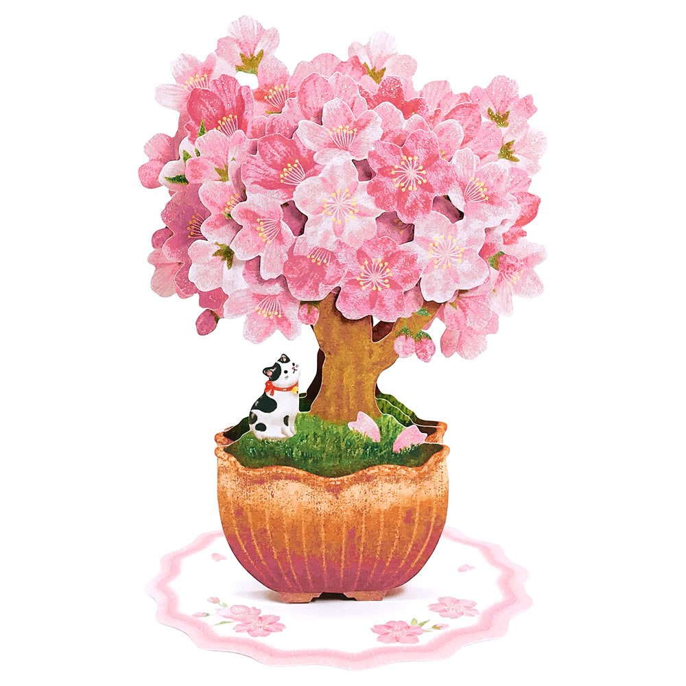 Hallmark（ホールマーク） 春カード 桜盆栽 BAR-814-380 立体カード