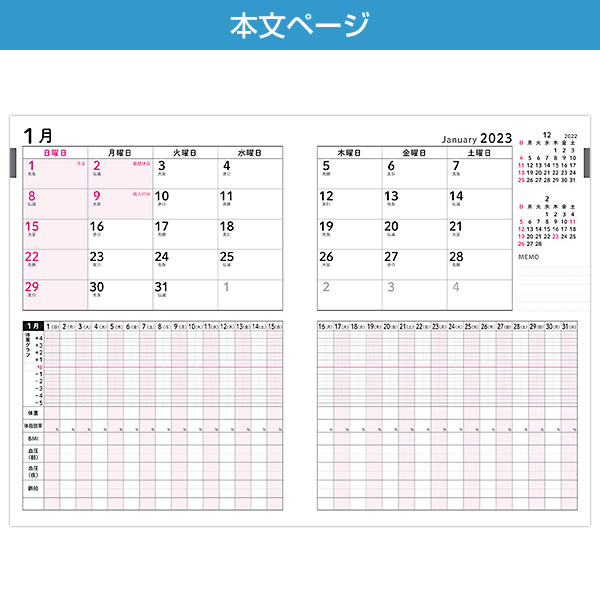 健康ダイアリー 2023 手帳 フロンティア B5サイズ DY-075 健康記録ダイアリー マンスリー 2022年12月〜2023年12月 日曜始まり  :dy-075:堀萬昭堂 ヤフー店 - 通販 - Yahoo!ショッピング