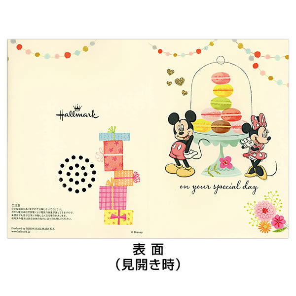 バースデーカードセット バースデーカード 6月生まれ 4枚セット | ms. colorfreak