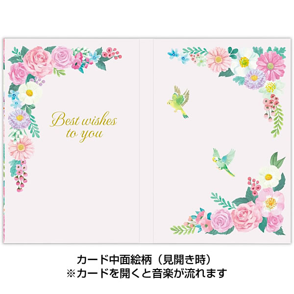 Hallmark（ホールマーク） バースデーカード メロディーカード HAC