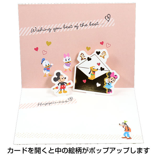 Hallmark（ホールマーク） 多目的カード ディズニーパルスお手紙 EAR
