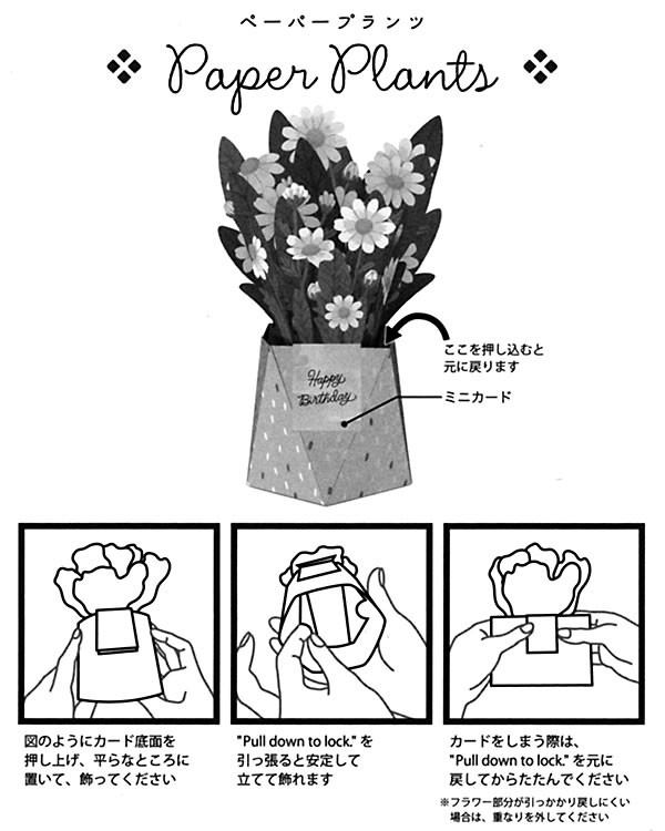 Hallmark（ホールマーク） バースデーカード 立体カード ペーパー