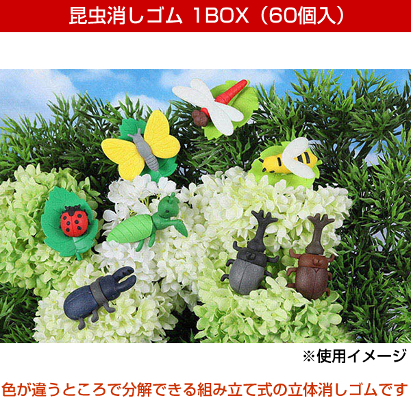 イワコー 昆虫消しゴム BOX 60個入 ER-KON001 6種類アソート 景品