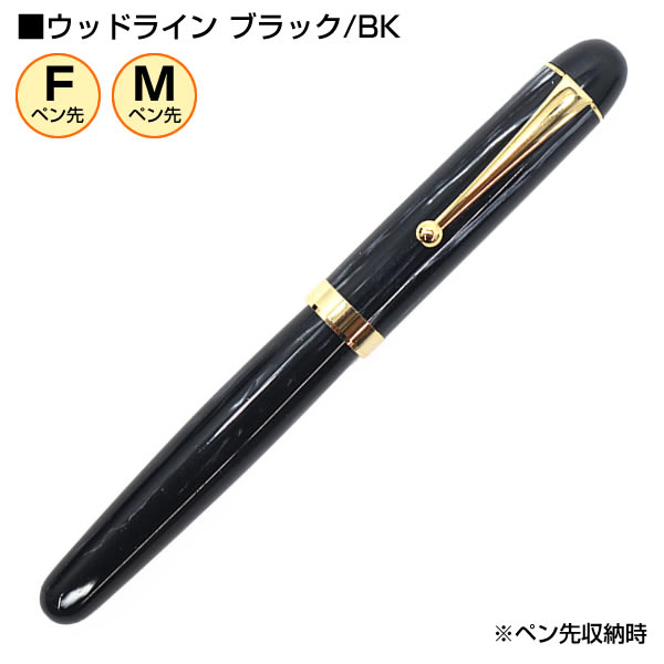 PILOT（パイロット） 大西製作所 セルロイド 万年筆 ウッドライン 3