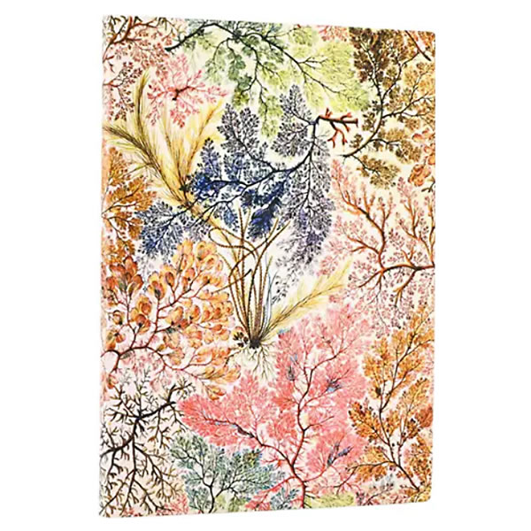 paperblanks エスニックデザイン ノート ミディ2冊セット paperblanks（ペーパーブランクス） ノートブック ミディ（MIDI